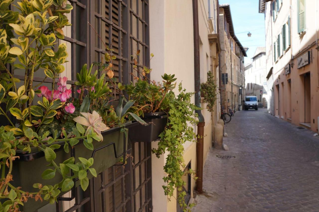 Il Vicolo 48 Bed & Breakfast Pesaro Bagian luar foto